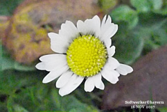 Im Frühtau zu Berge